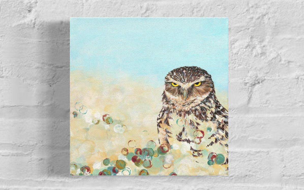 Burrowing Owl