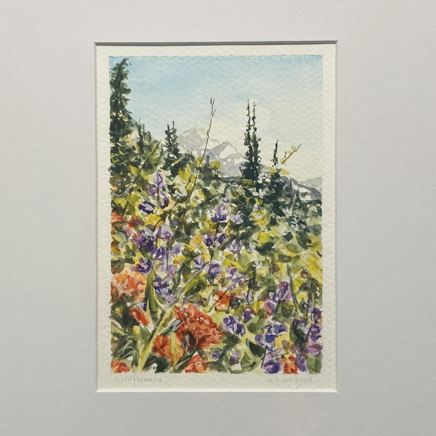 Wildflowers